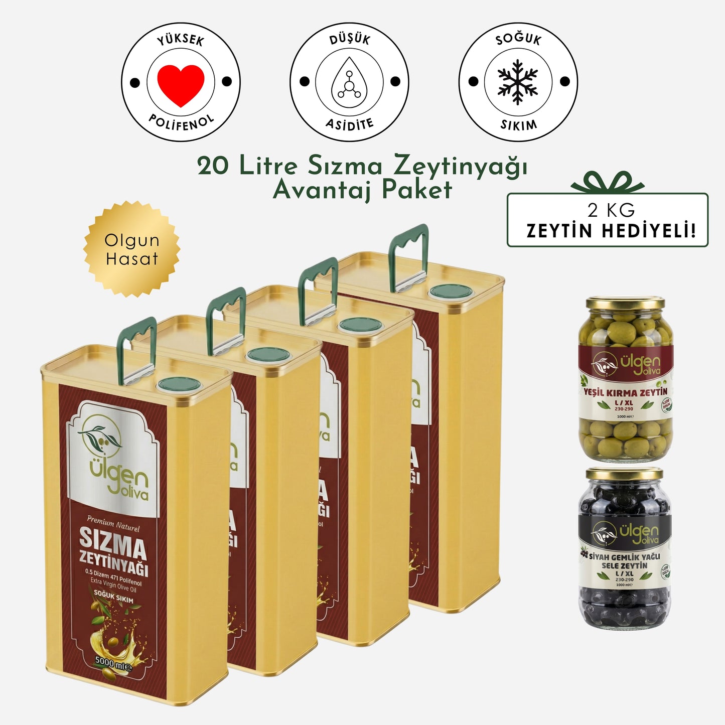 4 Adet Natural Sızma Olgun Hasat  Zeytinyağı • 20 lt + Hediye