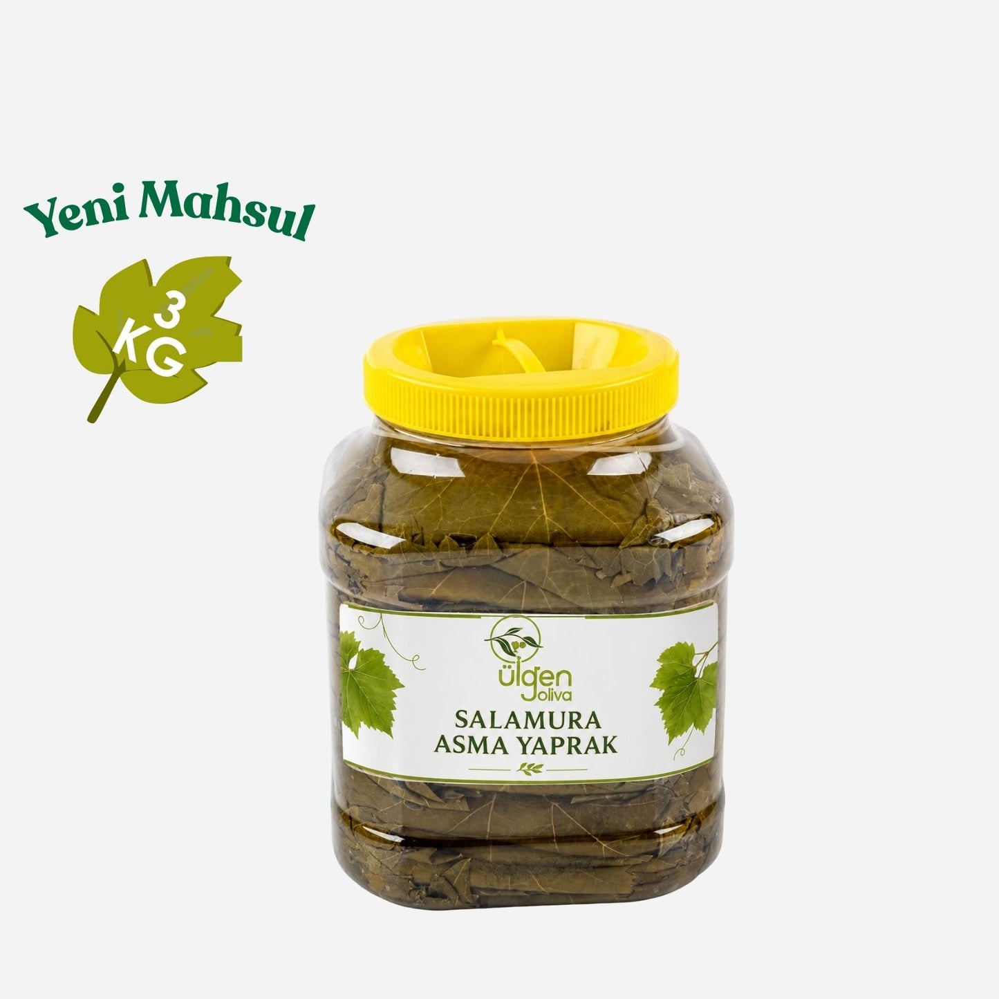 Manisa Alaşehir Premium Salamura Asma Yaprak (Yeni Mahsul) 3 KG