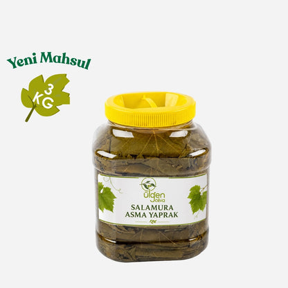 Manisa Alaşehir Premium Salamura Asma Yaprak (Yeni Mahsul) 3 KG